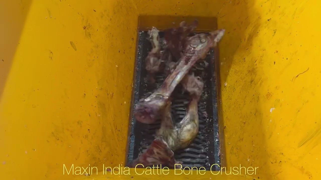 Cattle bone Crushing Machine, Animal Cattle bone Shredding Machine, #BoneShredder, #bigBoneCrusher,