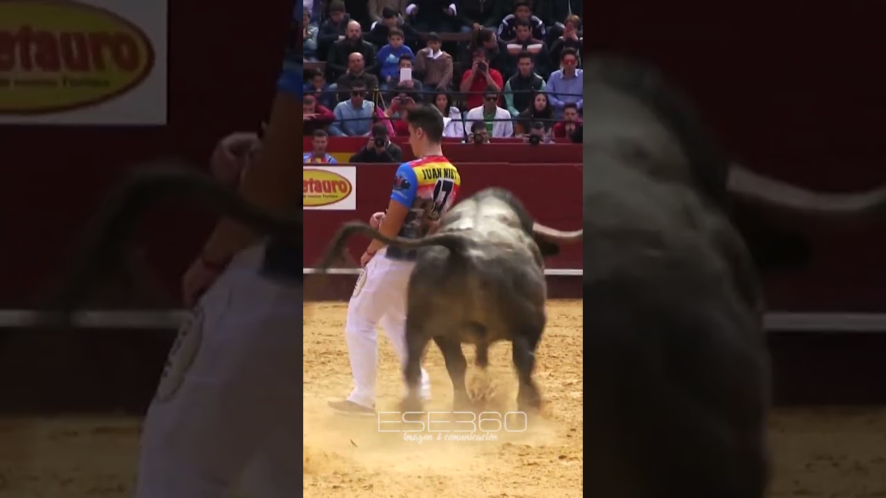 EL MEJOR QUIEBRO A UN TORO BRAVO #tricks #best #bestplayer