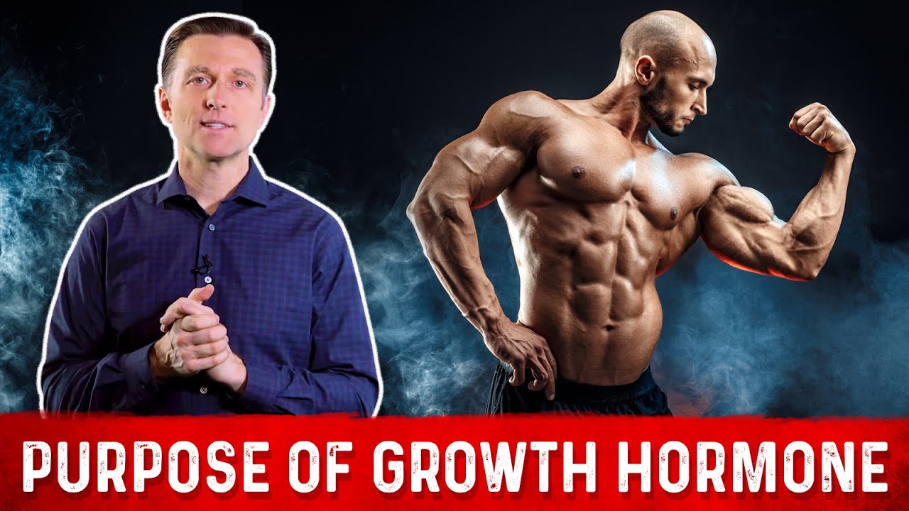 Functions & Benefits of Human Growth Hormone (HGH) &ndash; Dr.Berg