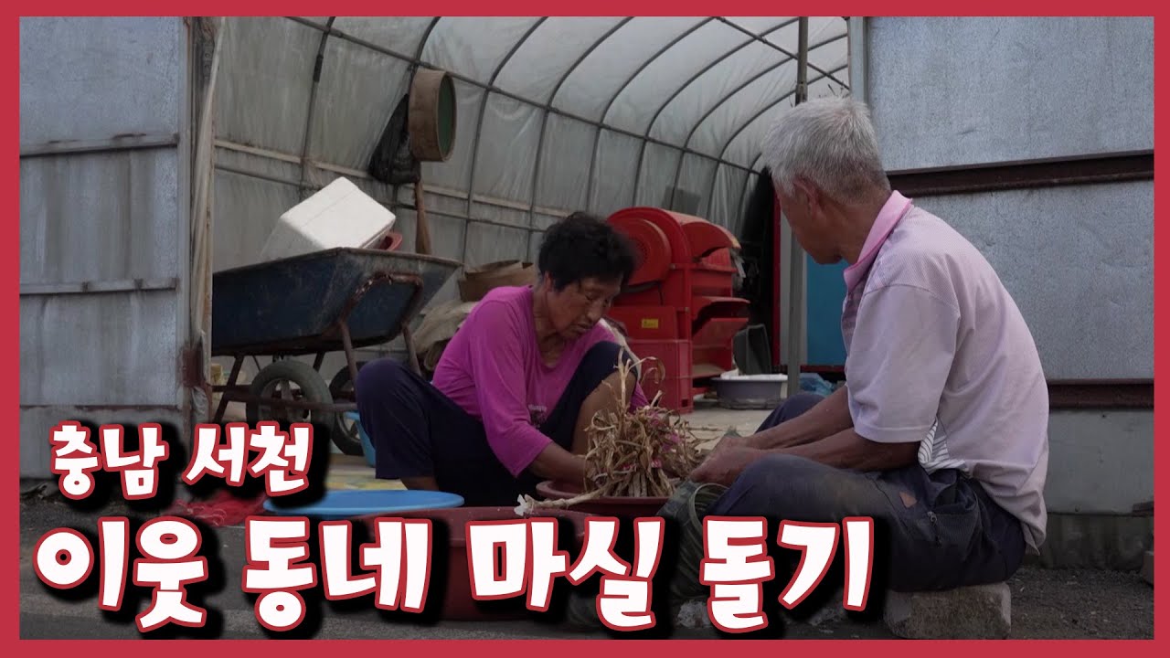 [남도지오그래피] 이웃 동네 마실 돌기 - 충남 서천｜KBS 220921 방송