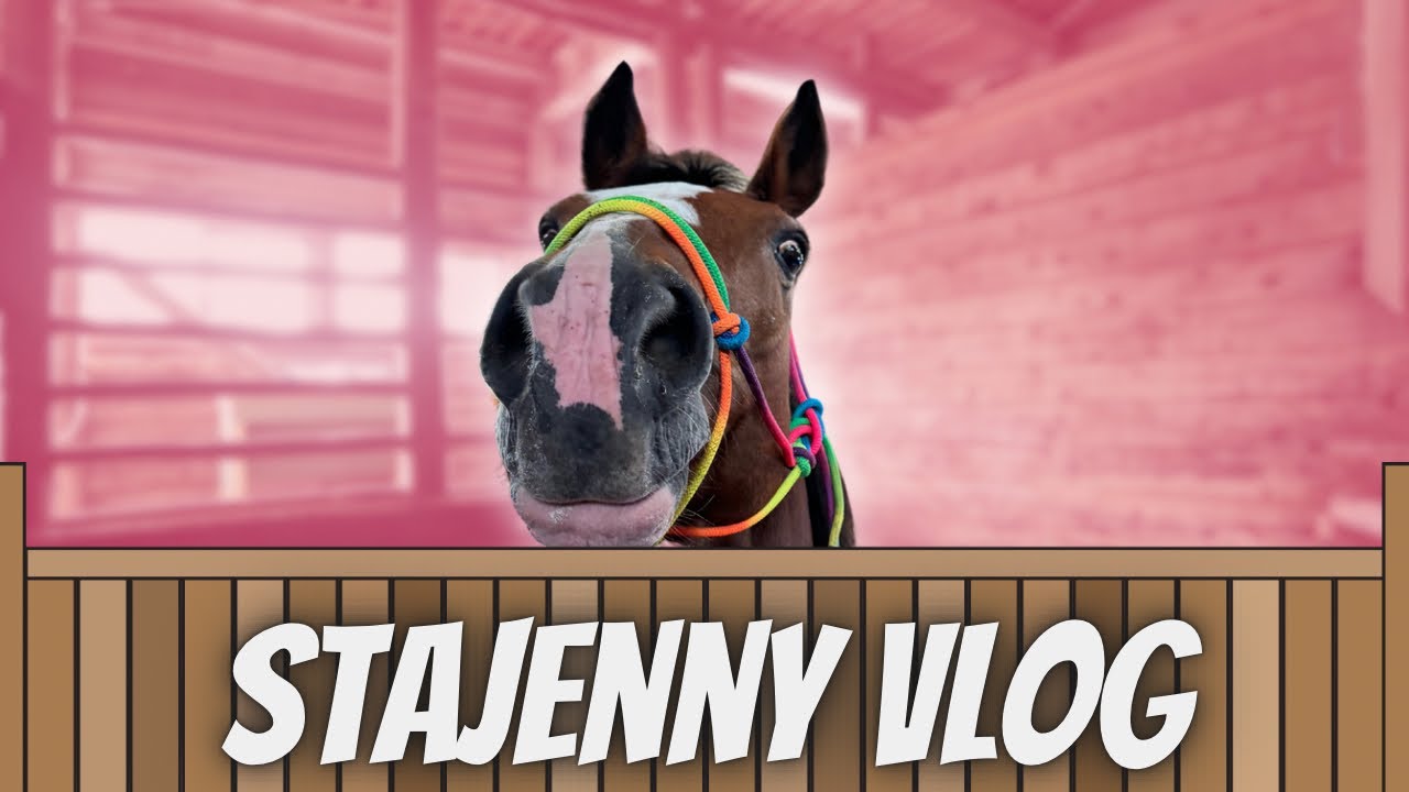 LUŹNY VLOG Z NOWEJ STAJNI🐴