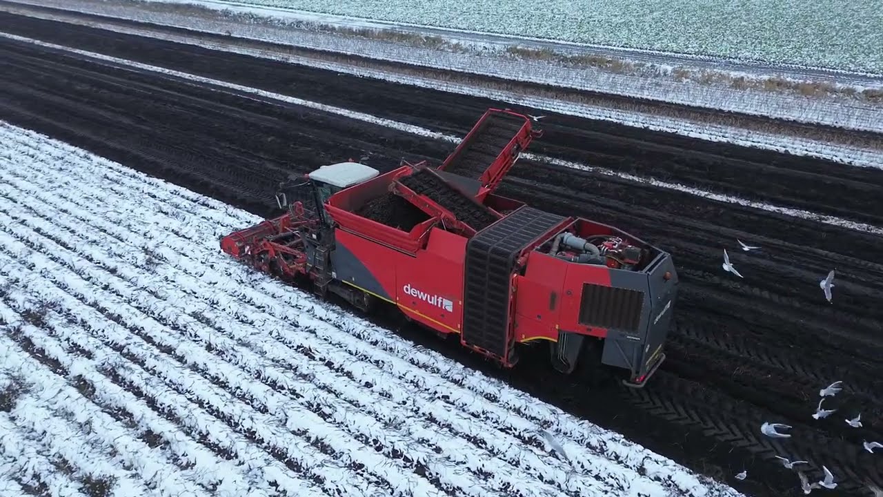 snow sneeuw Dewulf Aardappelrooier Kwatro De Wulf Quatro (MD) Veenhuizen Onstwedde oost Groningen