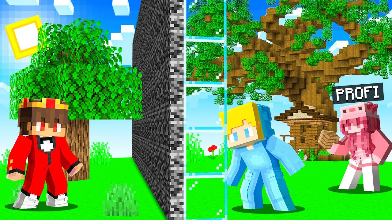 Ich CHEATE mit PRO M&Auml;DCHEN in einer BUILD CHALLENGE! - Minecraft ⛏