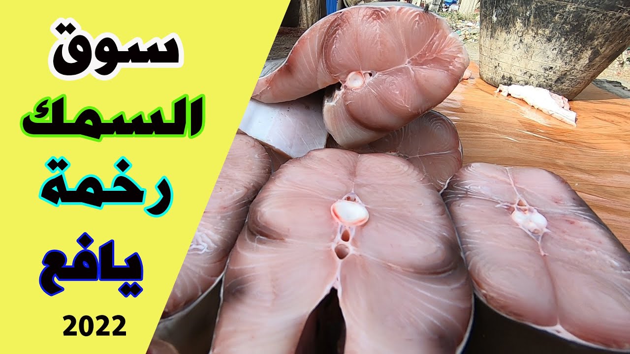 سوق السمك في رخمة ll  كلد ll  يافع 2022 وغلاء فاحش