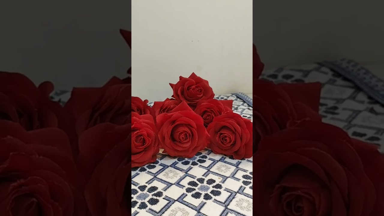 እሙ ሂክማ Tube is live!ኑእንደማመር ቤተሰብ