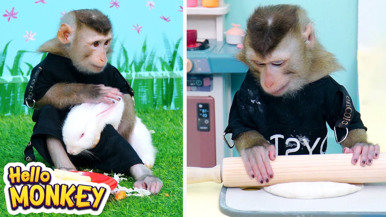 Monkey Bobo Makes Super Delicious Bread And Plays With Rabbits 🍞🐇
