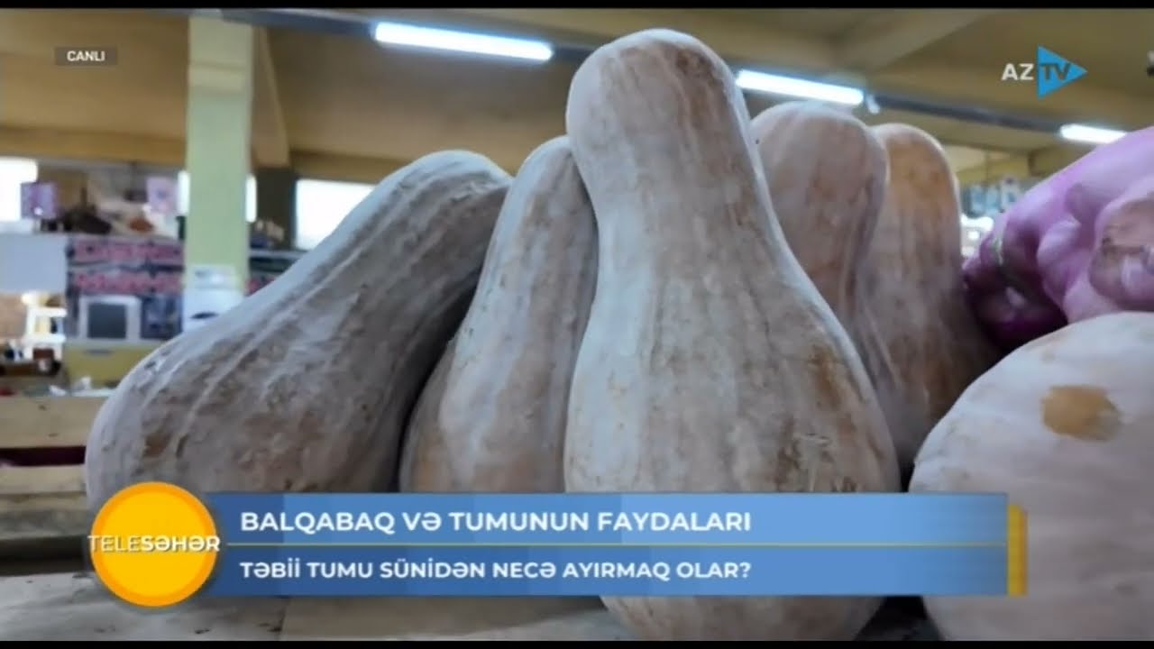 Balqabaq və tumunun hansı faydaları var?