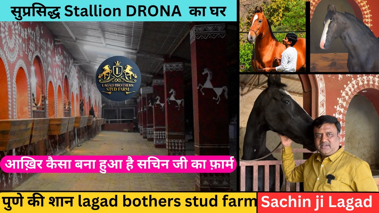 आख़िर कैसा बना हुआ हे सुप्रसिद्ध Stallion DRONA  का घर( lagad bother stud farm , Pune Maharashtra)