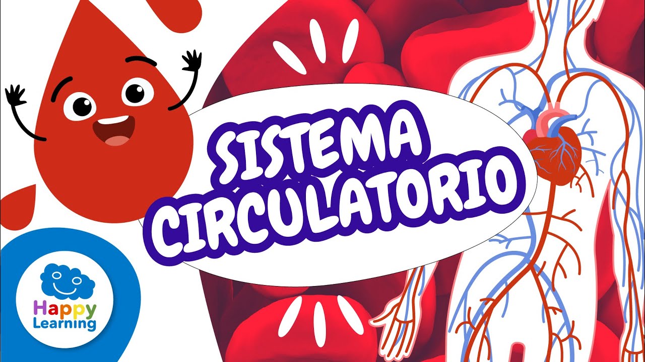 ❤️🩸 El Sistema Circulatorio | Vídeos Educativos para Niños de PRIMARIA | @Happy Learning Español