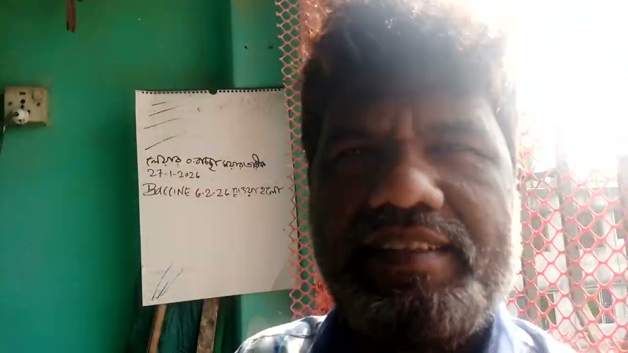 লেয়ার মুরগি পালন খুবই সহজ #video 