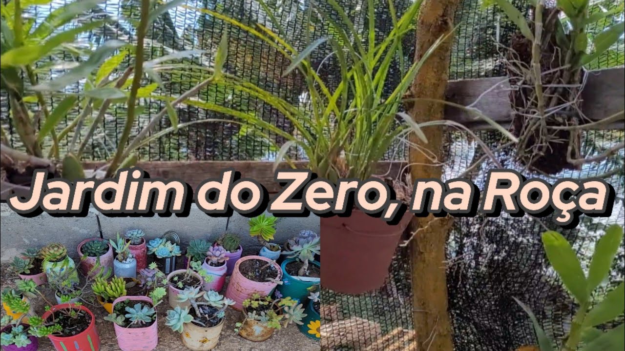 Coloquei as Orquídeas na horta, + Hora de mudar as Latas de Suculentas! #roça #suculentas #orquideas