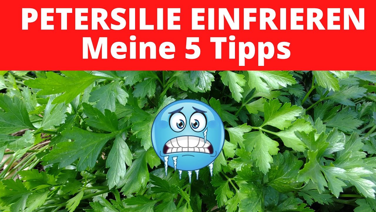Petersilie einfrieren 🌿 Haltbar machen