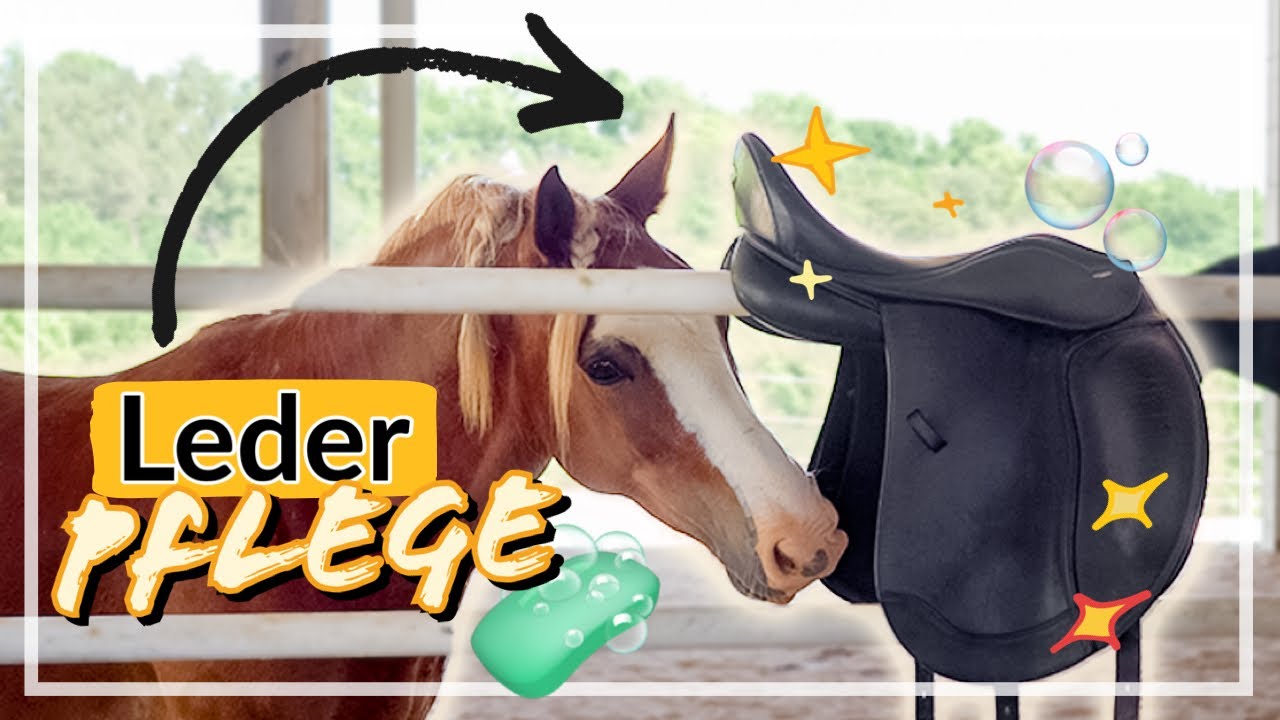Aus ALT mach NEU ✨ Sattel/ Leder Pflege I ACIBALD