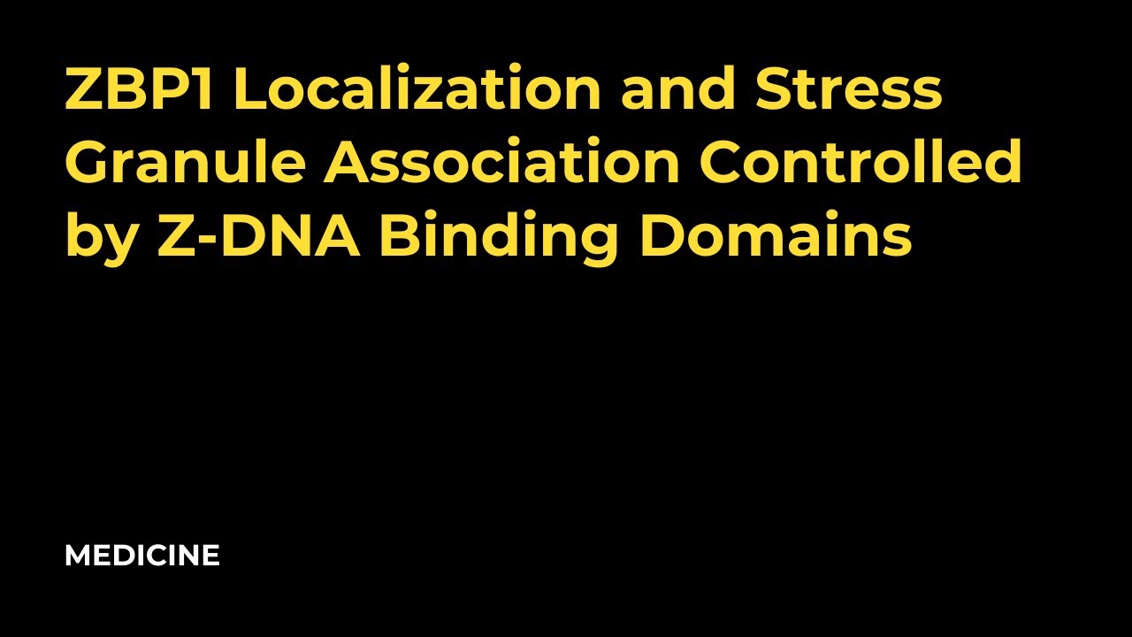 How ZBP1 and Z-DNA Shape Stress Granule Formation – A Molecular Deep Dive!