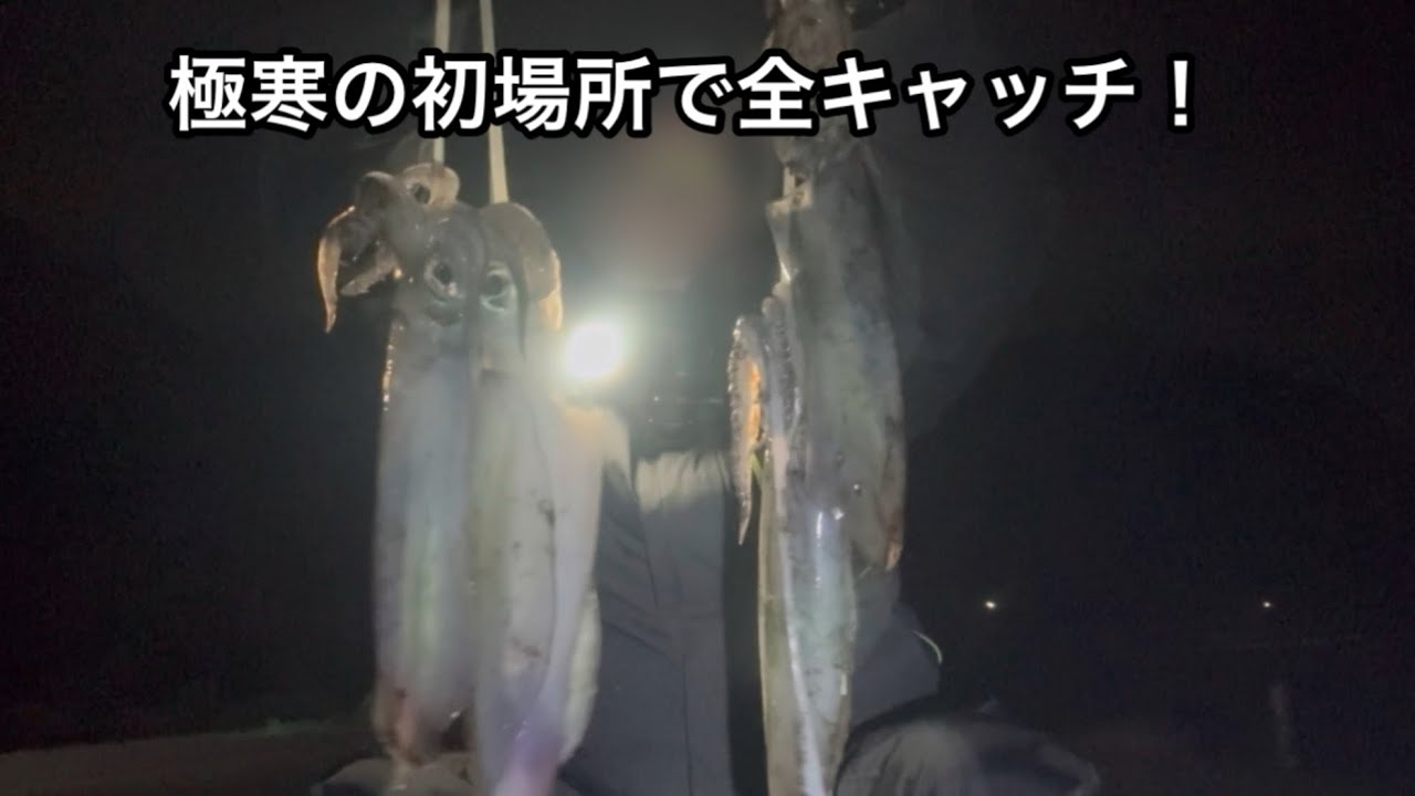 極寒の初場所ヤエン釣り｜アタリ6回、全キャッチでキロアップ！#アオリイカ釣り #ヤエン釣り 