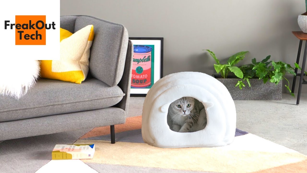 5 Useful Gadgets Your Cat Will Love For Sure