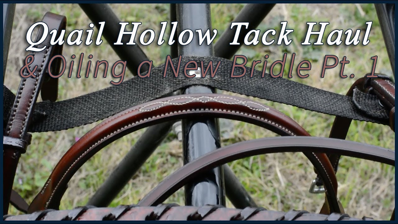Quail Hollow Tack Haul & How to Oil a New Bridle Part 1