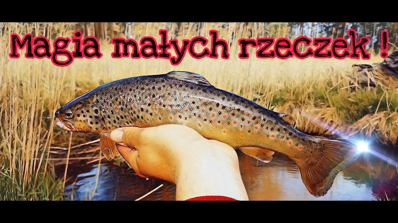 Magia małych rzeczek !