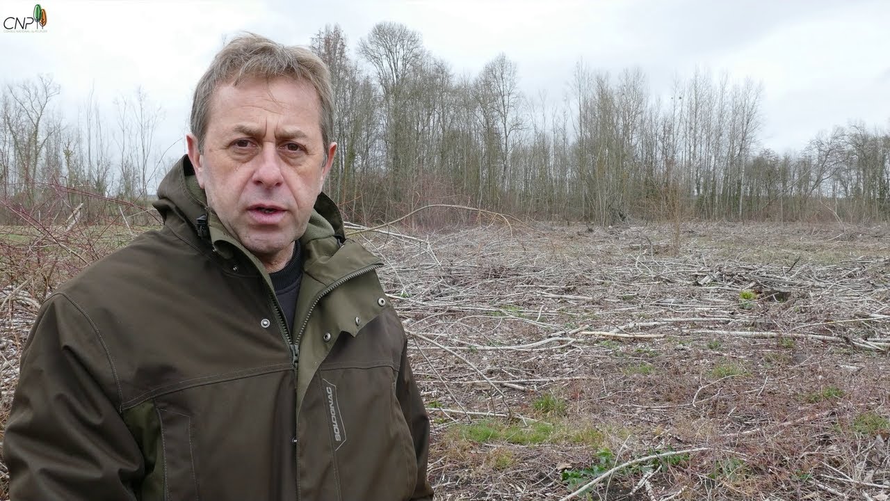 Le broyage des rémanents après la récolte des bois