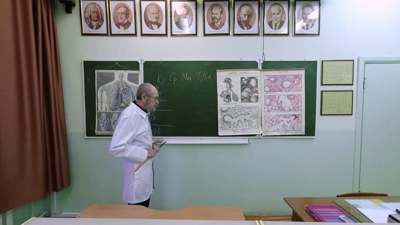 Дыхательная система