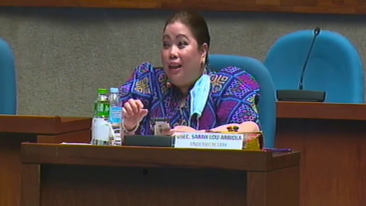 DFA warns OFW repatriation funds may run out by August