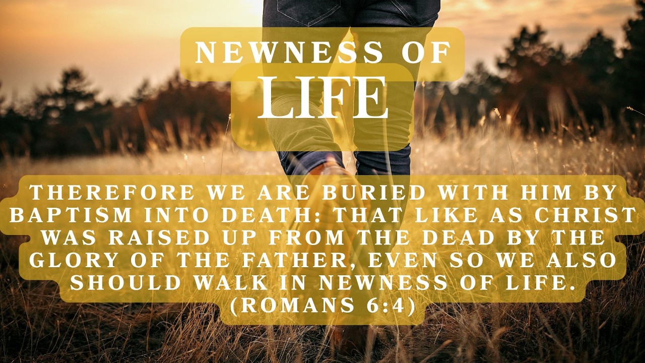 Newness of Life