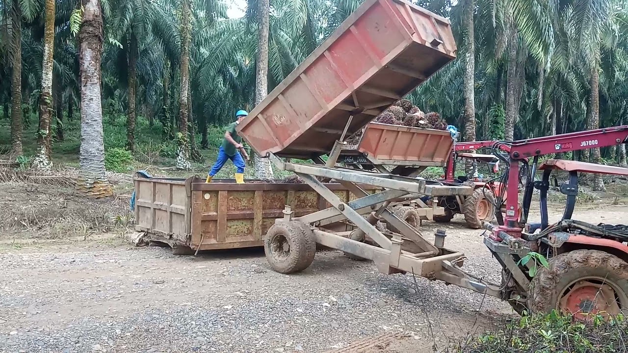 proses numpah buah dari greber