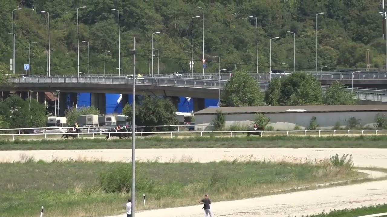 Treca trka Beograd 13 08 2023 CASANOVA