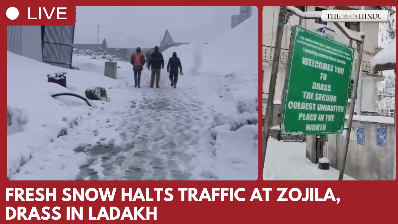 Ladakh blanketed in fresh snow: traffic halted at Minamarg as Zojila and Drass turn wintry