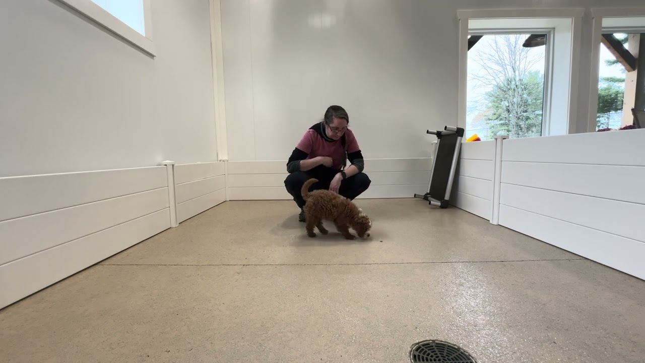 Beck Training Session 11/18