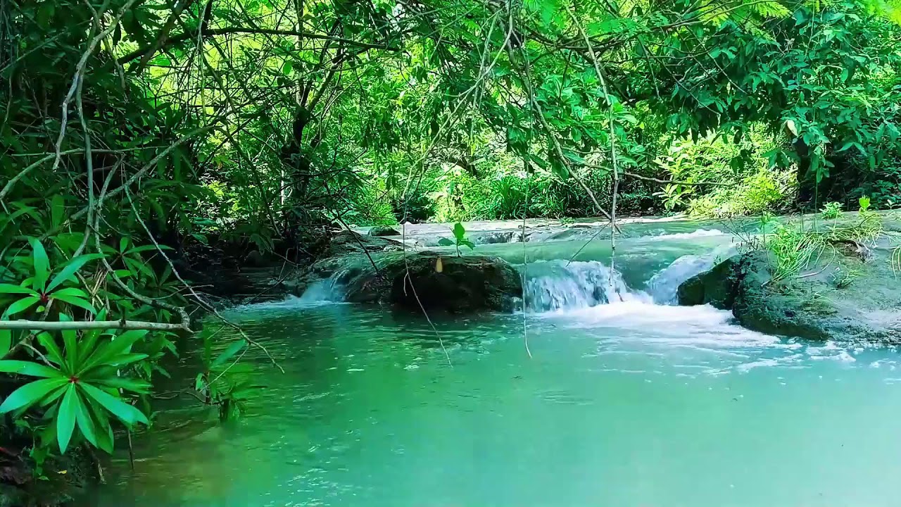 Cascading Waterfall Sound for Sleep | 12 Hours
