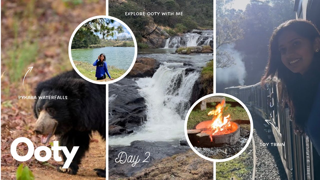 Toy Train to Waterfalls to Safari | Perfect New Year Trip Vlog | Ooty Day 2