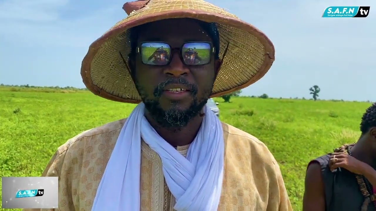 S DJILY FALL IBNU S MODOU ABDOULAYE FALL NDAR L'ENTREPRENEUR AGRICOLE DANS LES  CHAMPS DE BLOC NORD