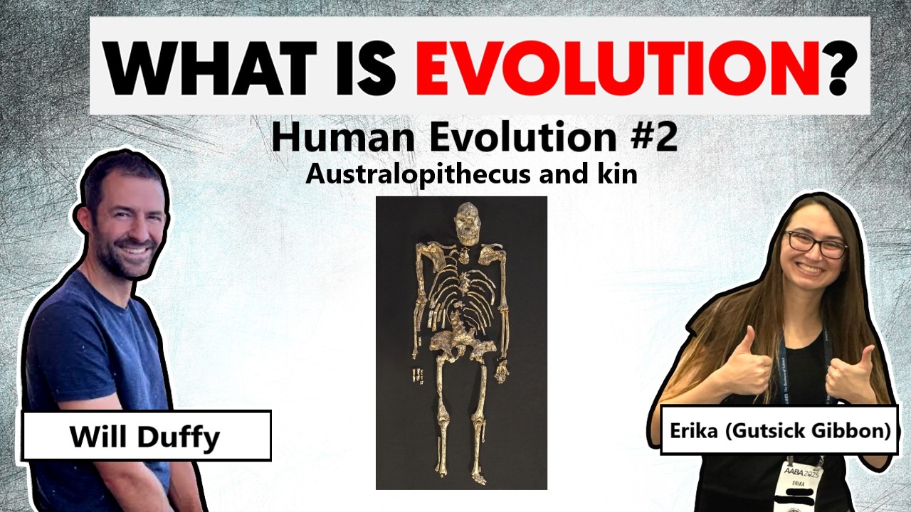 Teaching Famous Creationist Will Duffy Evolutionary Theory (LIVE) Human Evolution #2 Australopiths +