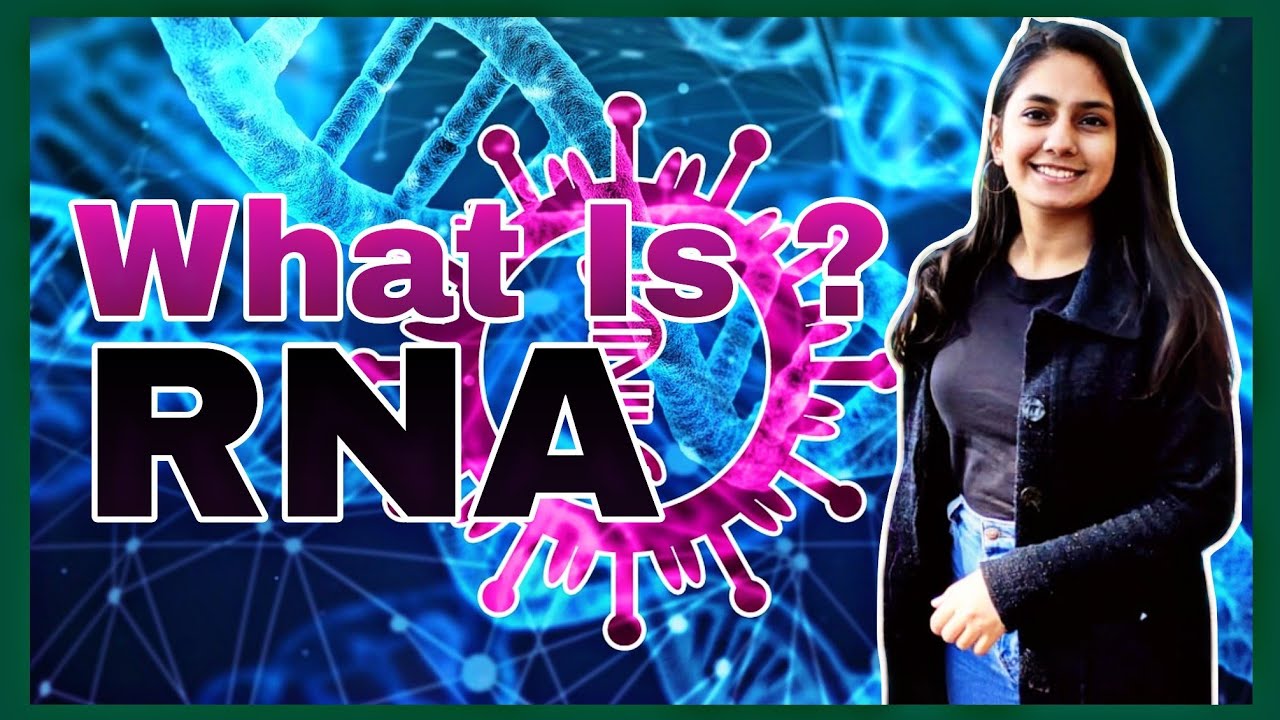 What is RNA ? | RNA in Hindi