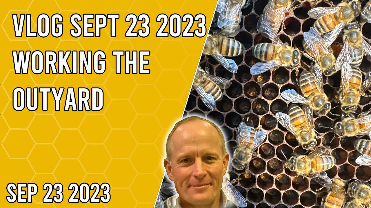 Bee Vlog Sept 23 - Jacksonville FL Zone 9a