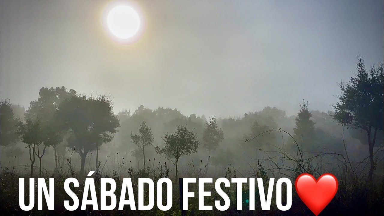 Camino 57 Olvidado Noviembre 2024 Parte 30: De Congosto a Cabañas Raras