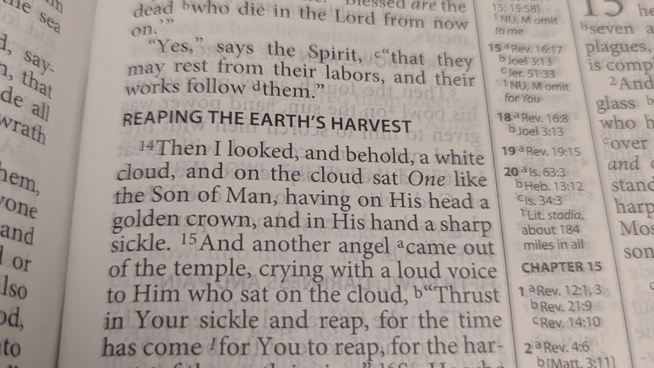 Revelation chapter 12: 7-15:8