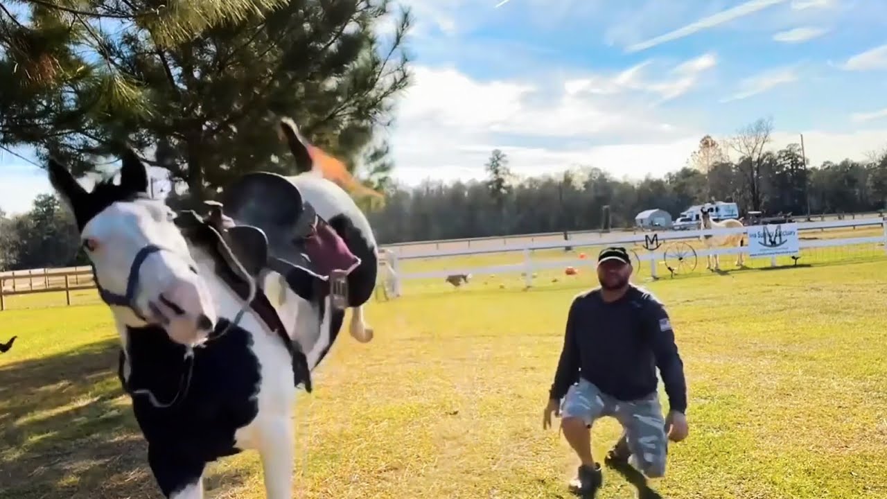 Я не думаю, что они мертвы 😵