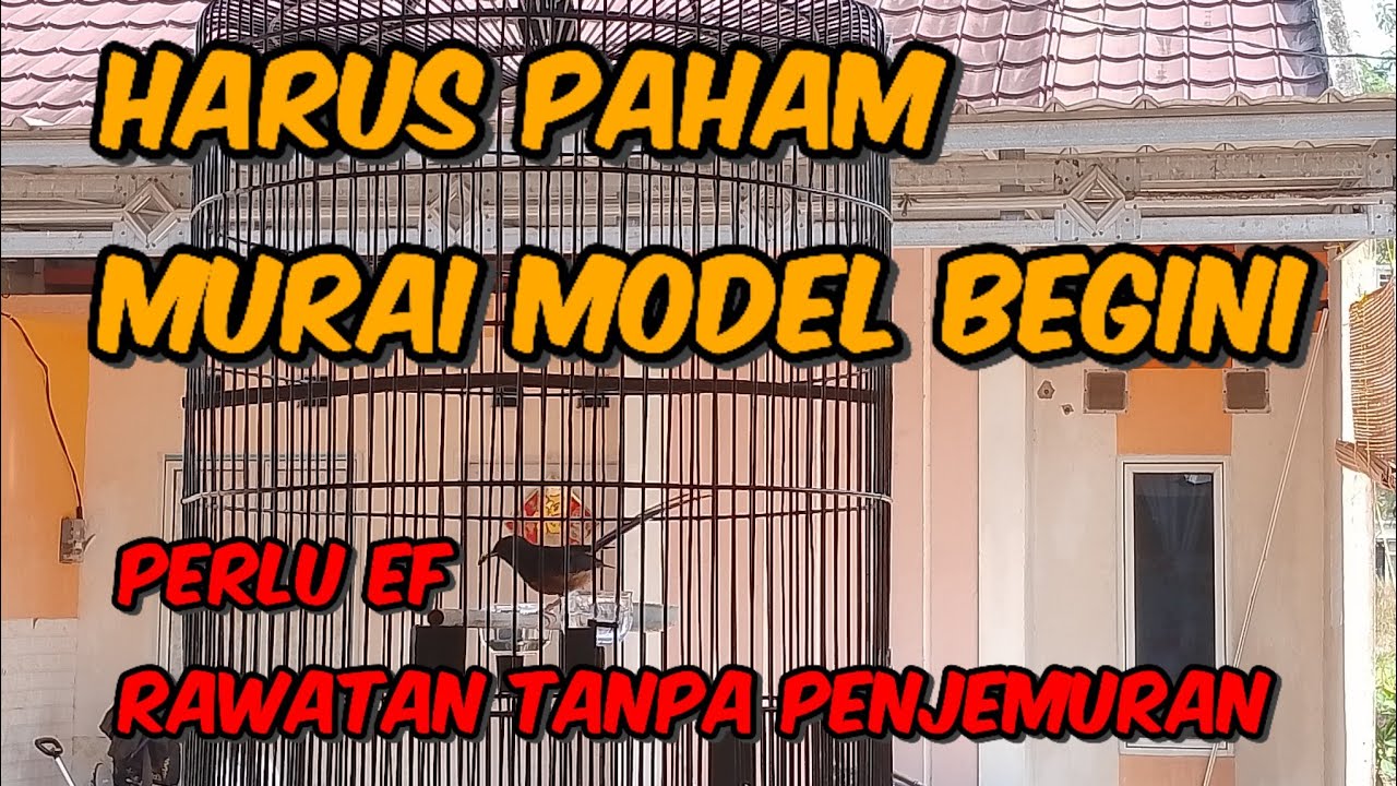 HARUS PAHAM RAWAT BURUNG YANG MODEL BEGINI