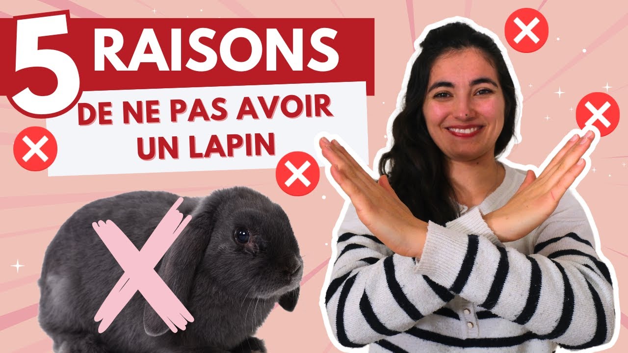 5 raisons de NE PAS ADOPTER un LAPIN (réfléchis bien)