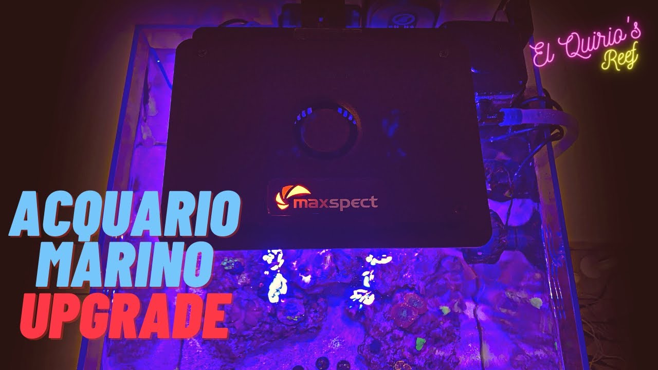 #21 Maxspect Jump L165 plafoniera led (unboxing e primo setup)  - Upgrade - Il mio acquario marino