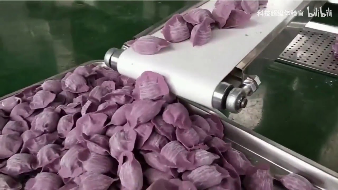 1三款新奇好玩的全自动饺子机，60分钟包1000个饺子，好看又美味。