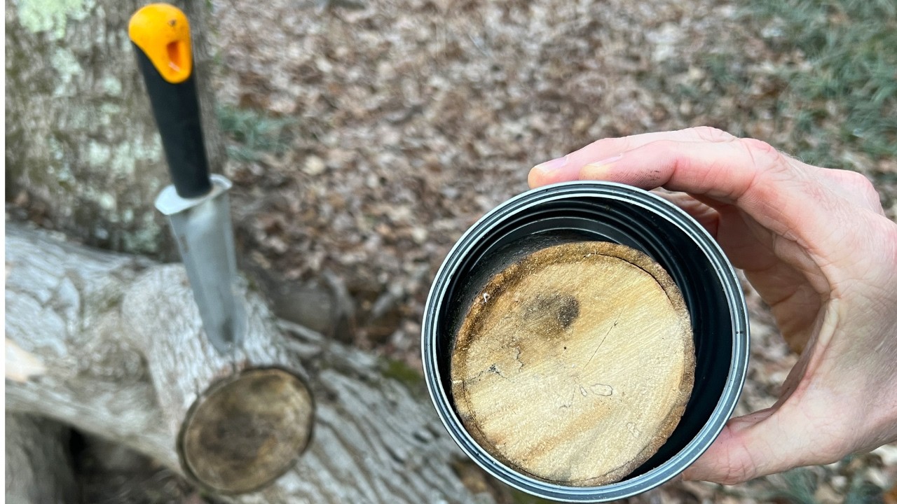 Camp Cook Stove | Emergency Heat From Charcoal + Alcohol