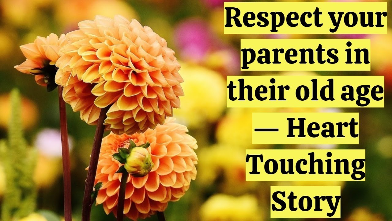 Respect your parents in their old age &mdash; Heart Touching Story