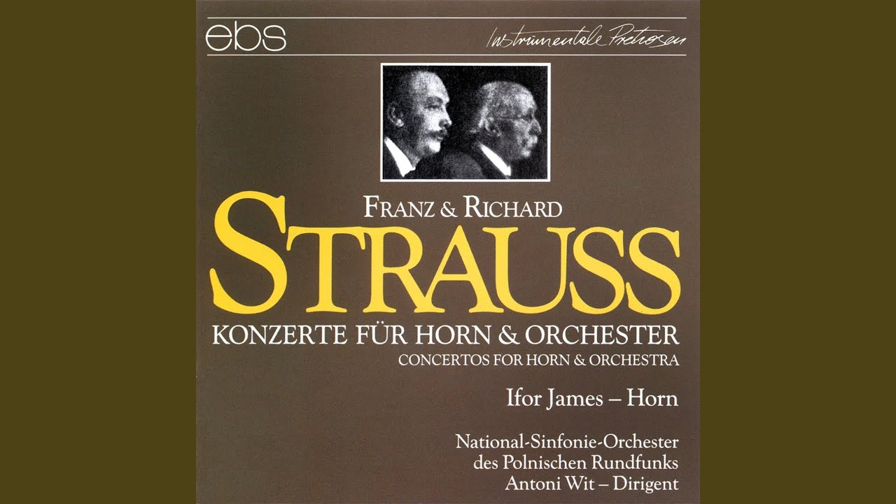 Horn Concerto No. 2 in E-Flat Major, TrV 283: I. Allegro - Andante con moto