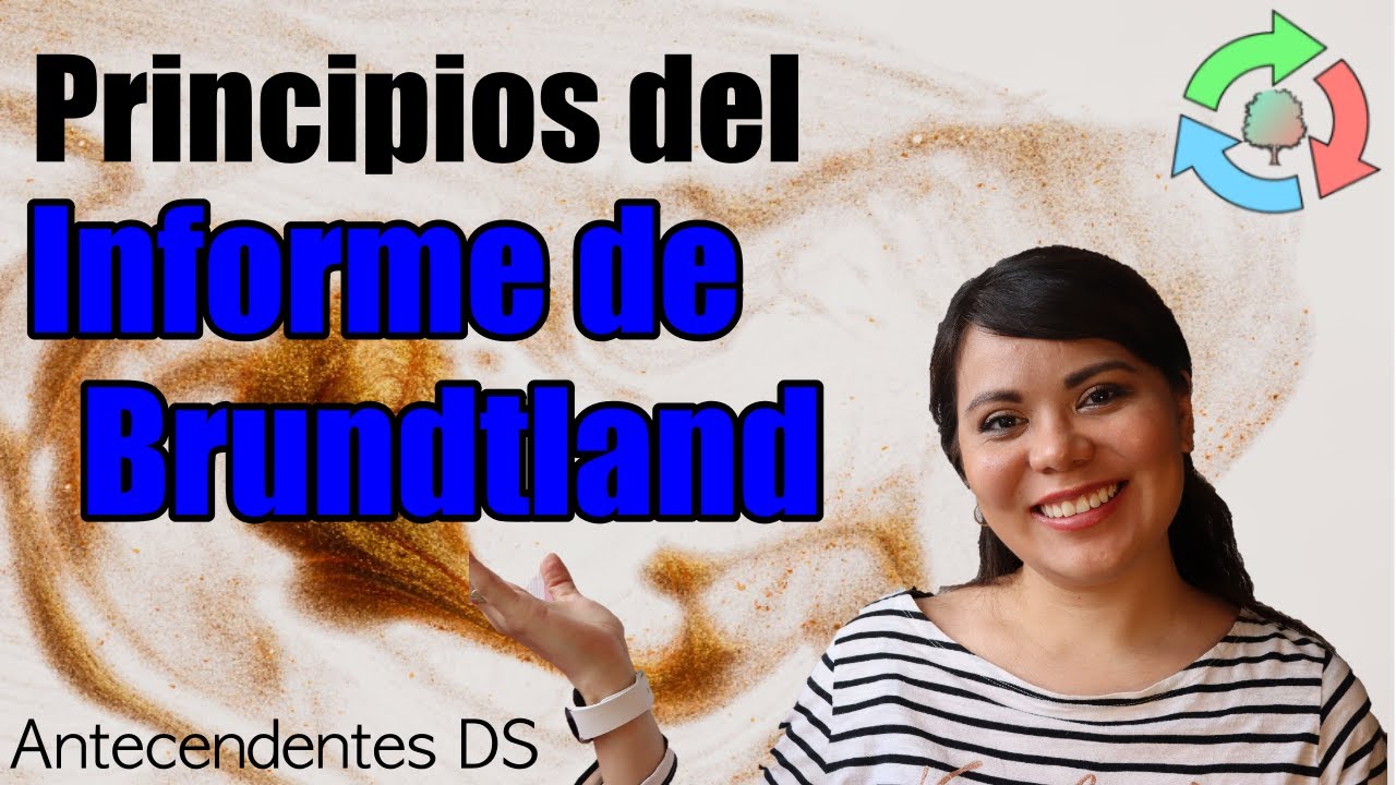 Principios generales del Informe de Brundtland - Antecedentes del Desarrollo Sostenible