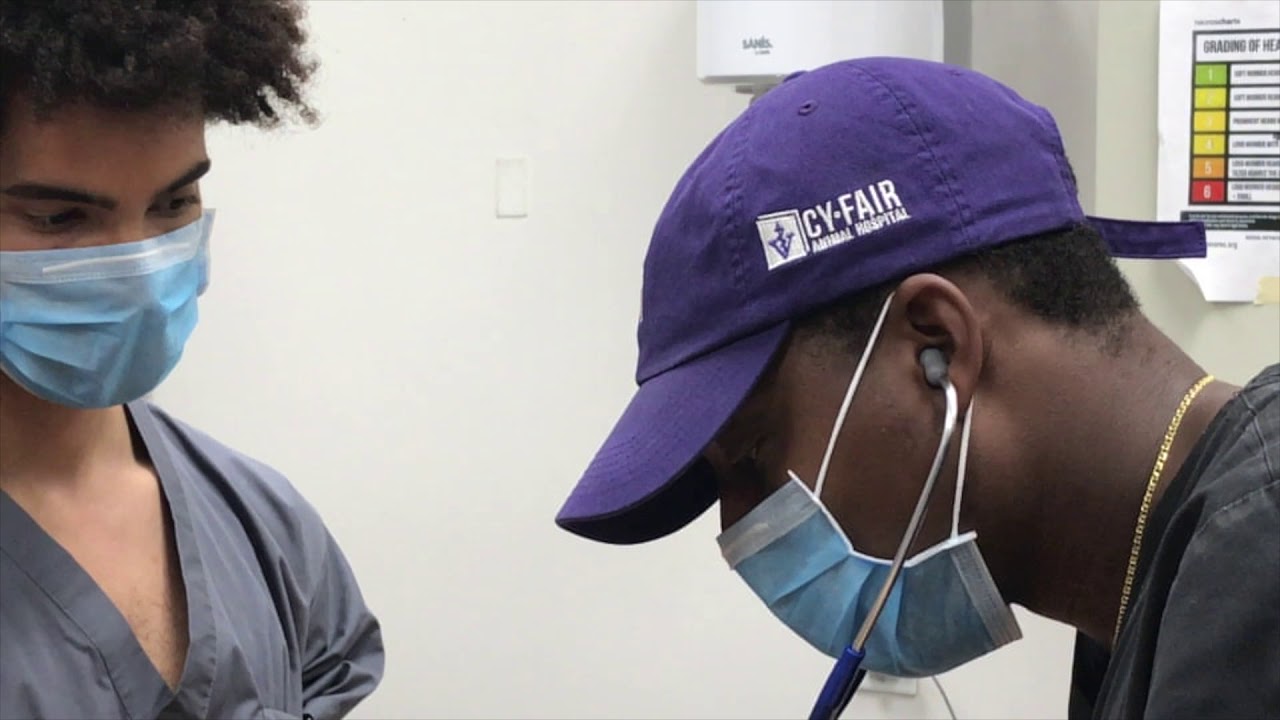 Interview with Dr. Diarra Blue of Cy-Fair Animal Hospital