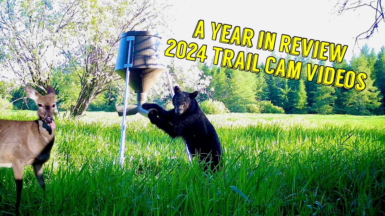 2024 Trail Camera Rewind - FAVORITE Trail Cam Videos from 2024 The Outdoor Theater