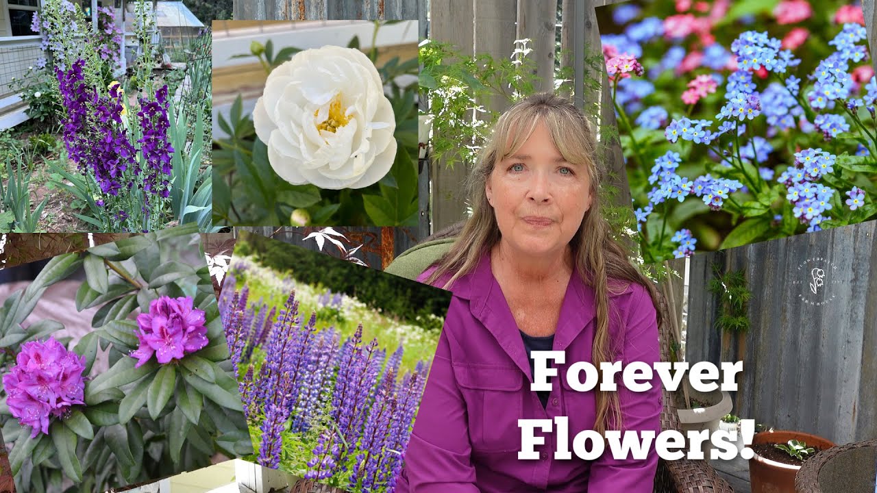 17 Easy Spring-Blooming Perennials for a Beautiful Garden